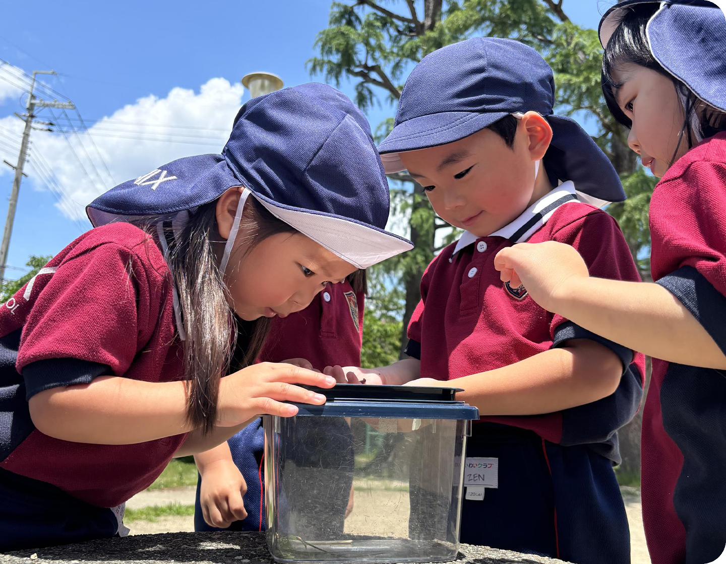 オーストラリア発の幼児教育カリキュラム『EARLY YEARS LEARNING FRAMEWORK(EYLF)』を導入