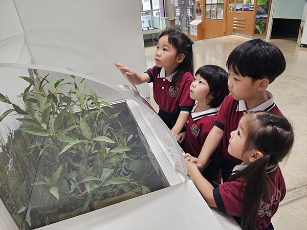 7月：サマースクール開始・遠足・水泳